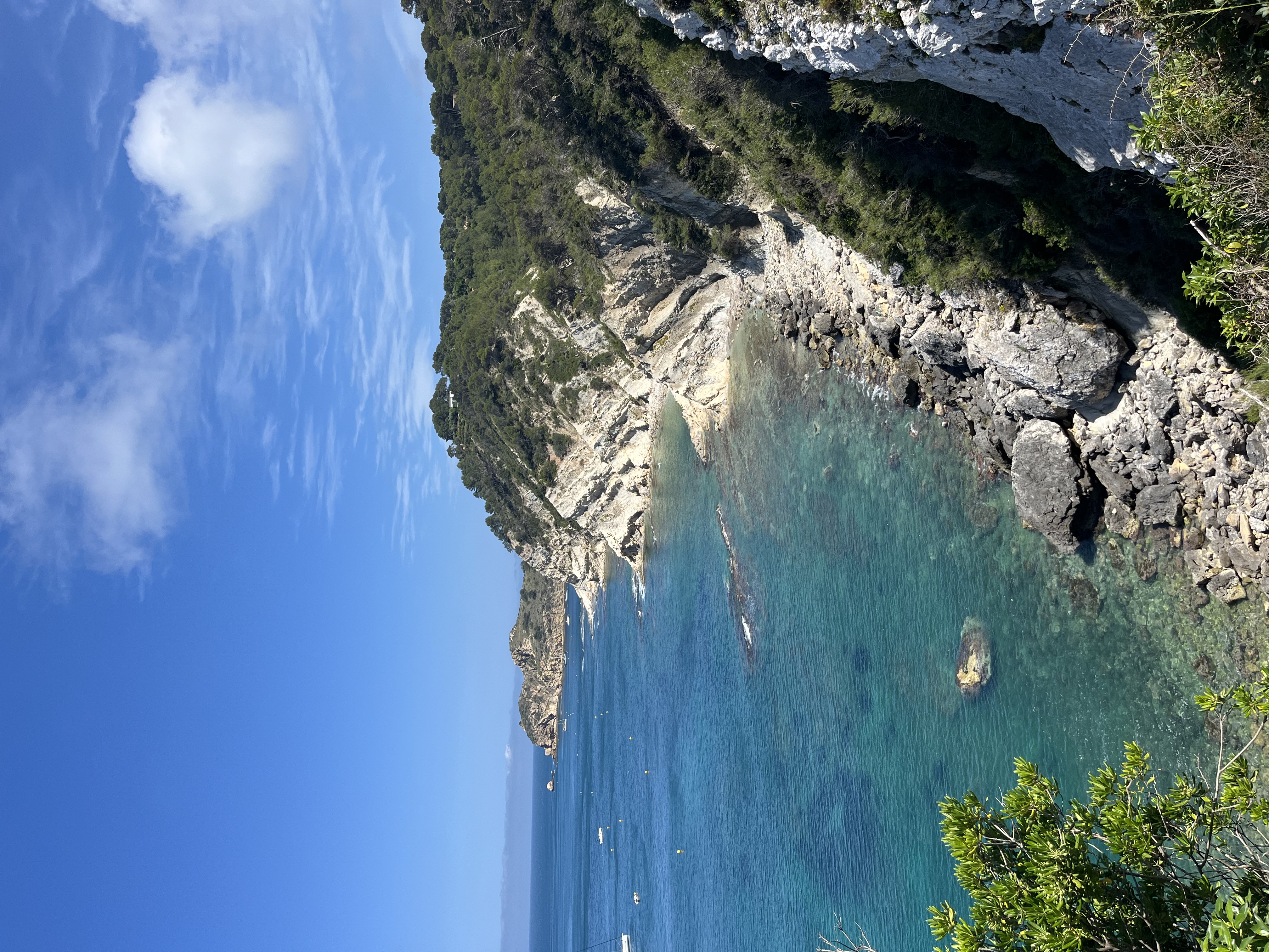 IMG_6715.jpeg