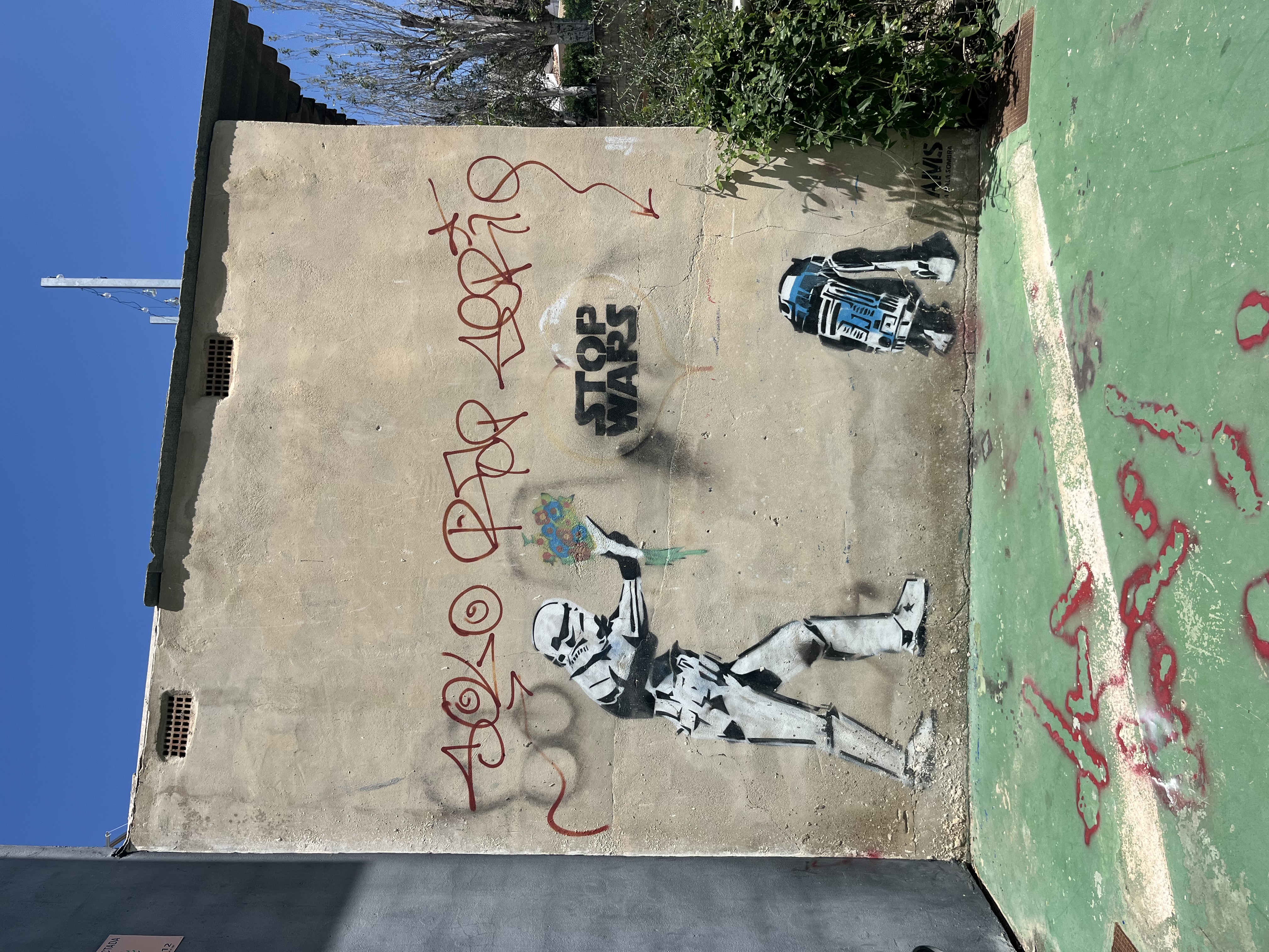 IMG_6762.jpeg